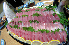 2011111304.jpg