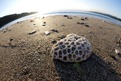 2012113004.jpg
