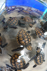 2013011402.jpg