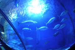 2013011403.jpg
