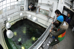 2013011404.jpg