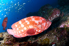 2013011407.jpg