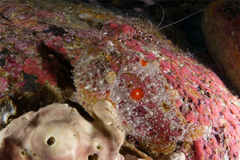 2013011410.jpg
