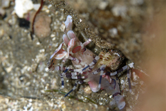 2013012501.jpg
