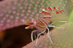 2013021103.jpg
