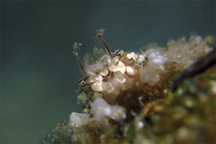 2013021501.jpg
