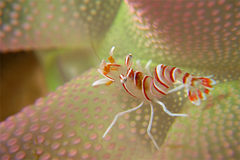 2013021503.jpg