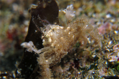 2013021504.jpg