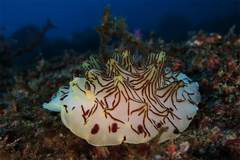 2013022201.jpg