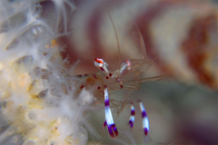 2013022202.jpg