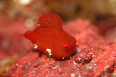 2013022301.jpg