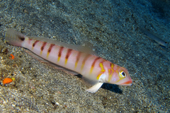 2013030204.jpg