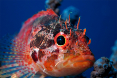 2013030205.jpg