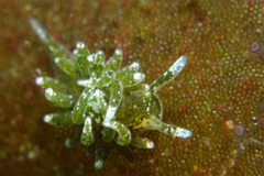 2013030206.jpg