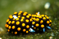 2013030207.jpg