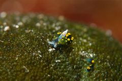 2013031601.jpg