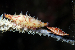 2013031601.jpg