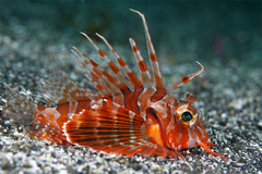 2013032902.jpg