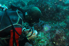 20130403ヒラカワ01.jpg