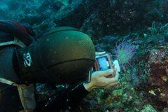 20130403ヒラカワ02.jpg