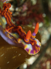 2013042102.jpg