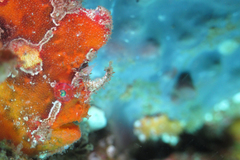 2013042103.jpg