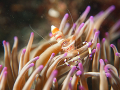 2013042104.jpg