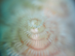 2013042105.jpg