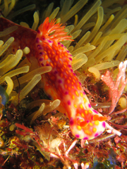 2013042107.jpg