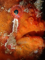 2013042108.jpg