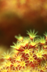 2013042109.jpg
