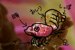 2013042301.jpg