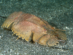 2013042501.jpg