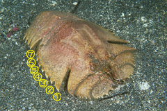 2013042502.jpg