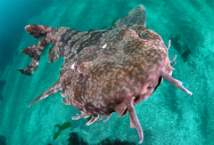 2013042903.jpg