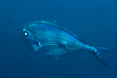 2013043003.jpg