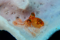 2013050502.jpg