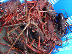 2013050605.jpg