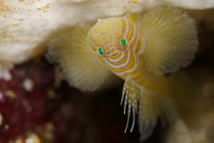 2013051501.jpg