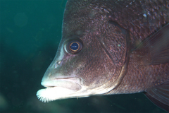 2013051502.jpg