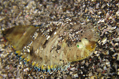 2013052501.jpg