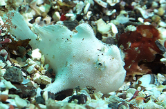 2013060301.jpg