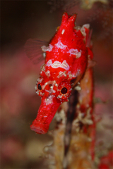 2013060801.jpg