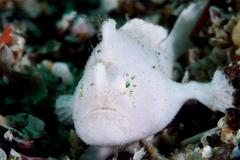 2013060802.jpg