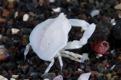 2013061203.jpg