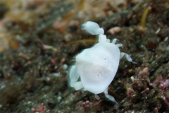 2013061204.jpg