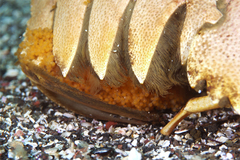 2013061207.jpg