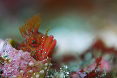 2013061701.jpg