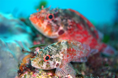 2013062002.jpg