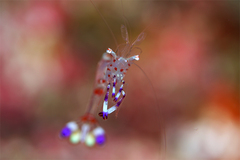 2013062101.jpg